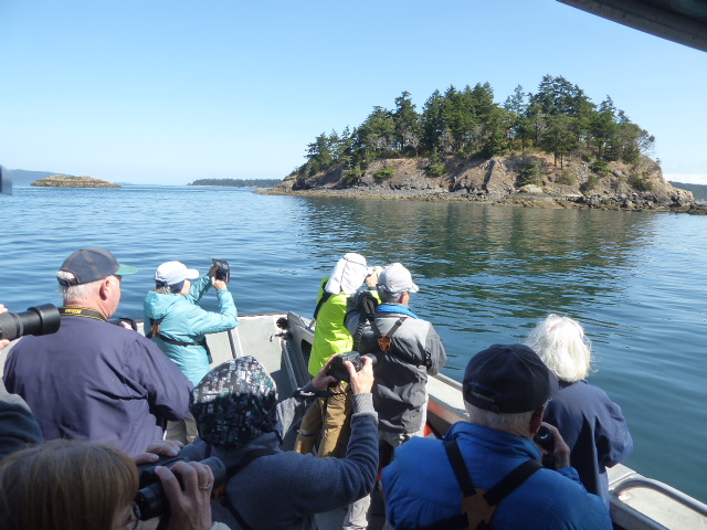 san juan islands birding cruises hiking sightseeing